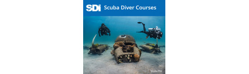 Ecole internationale SDI 