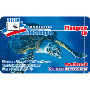 Formation de plongée enfant Plongeur d' Or 