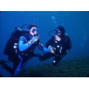 Formation de plongée Niveau 4 FFESSM 