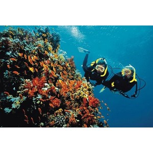 Package carte de plongée exploration