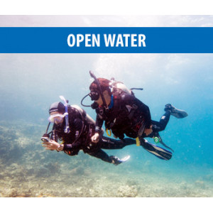 Open Water et/ou N1 FFESSM Formation en Plongée sous marine