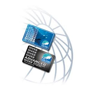 Cout de certification TDI/SDI