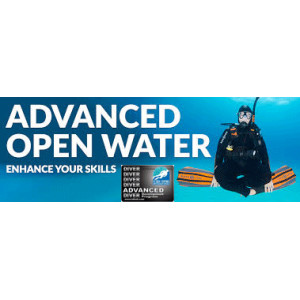 Inintiation plong&eacute;e Palme Masque Tubas