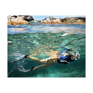 Randonnée Palmée equipé de palme masque et tubas