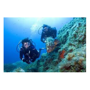 PA20 FFESSM Plongeur Autonome a 20 m